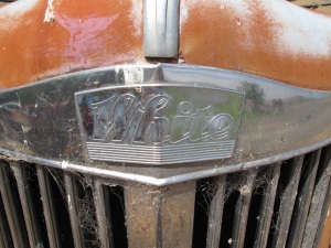 IMG_0655