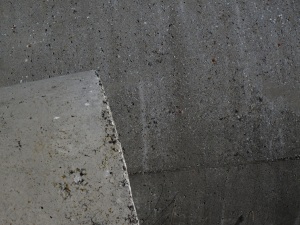 IMG_0805