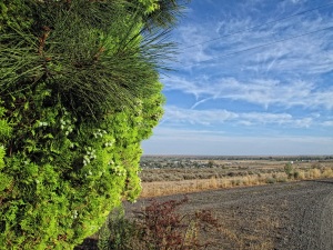 img_0830_web