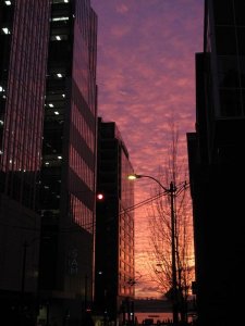 img_5336