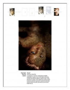 linden_portfolio_lores-19