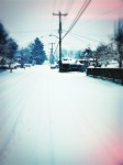 IMG_1114 IMG_1114