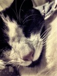 IMG_1144 IMG_1144