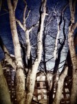 IMG_1170 IMG_1170